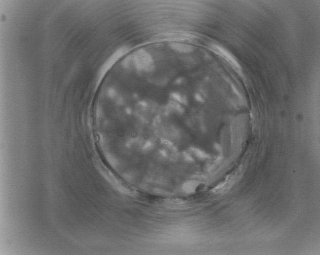 X0000075820907200610061754