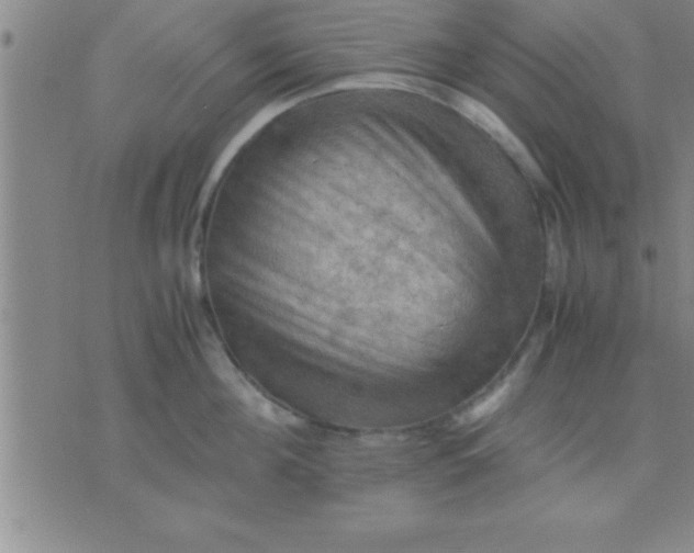 X0000075820908200610061754