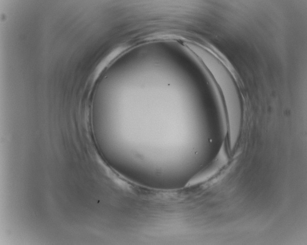 X0000075820909200610061754