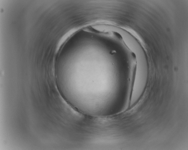 X0000075820910200610061754