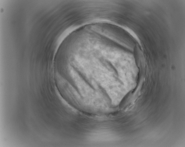 X0000075820911200610061754