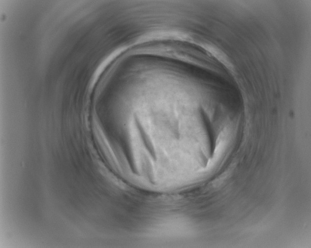 X0000075820912200610061753