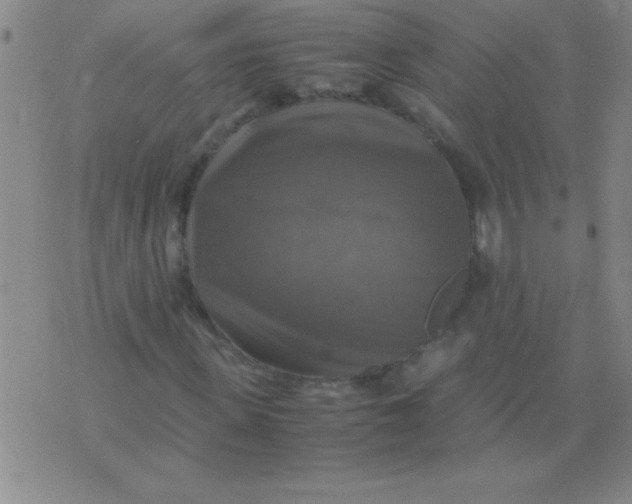 X0000075820915200610061753