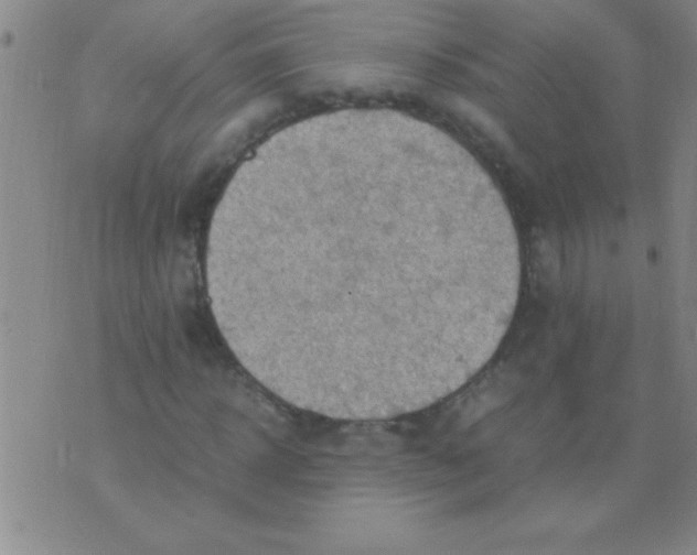 X0000075820918200610061753