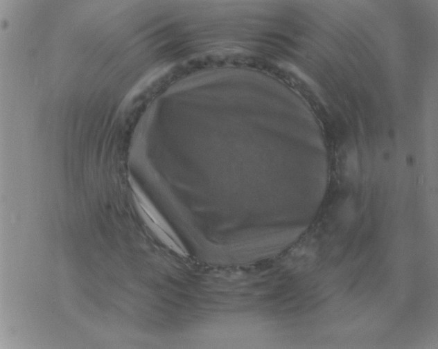 X0000075820919200610061753