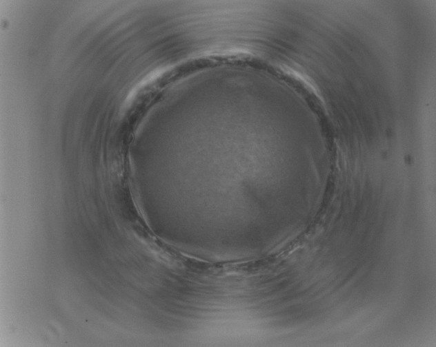 X0000075820920200610061753