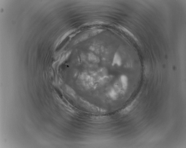 X0000075820921200610061753