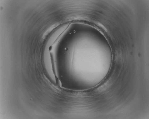 X0000075820922200610061753