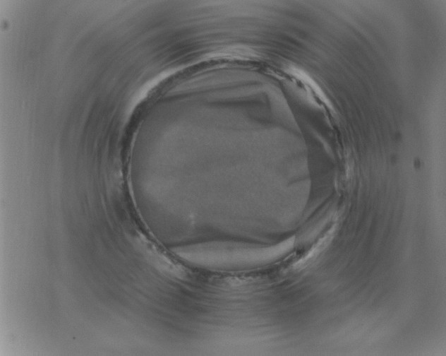 X0000075820923200610061753