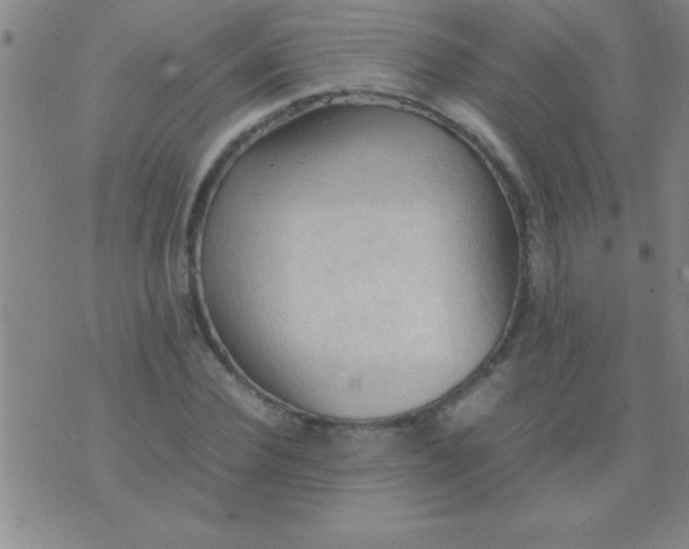 X0000075820924200610061753