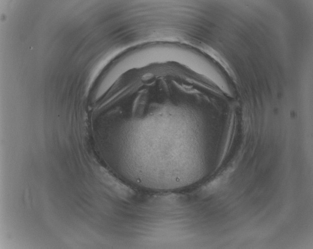 X0000075820926200610061753