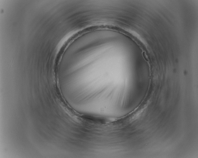 X0000075820927200610061753