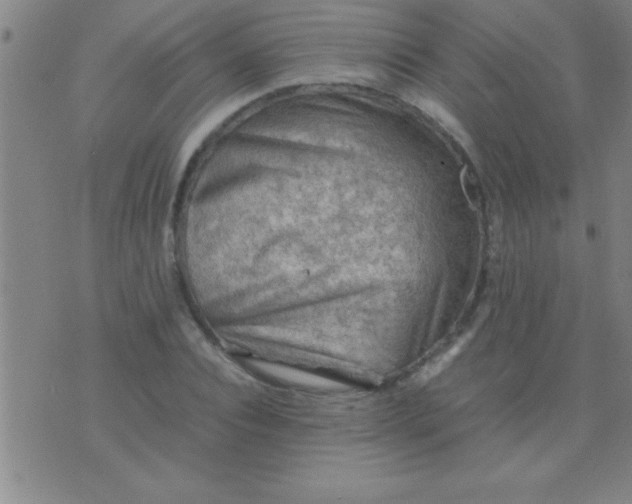 X0000075820928200610061753