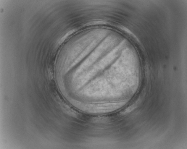 X0000075820929200610061753