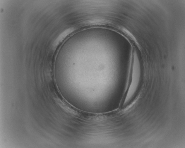 X0000075820930200610061753