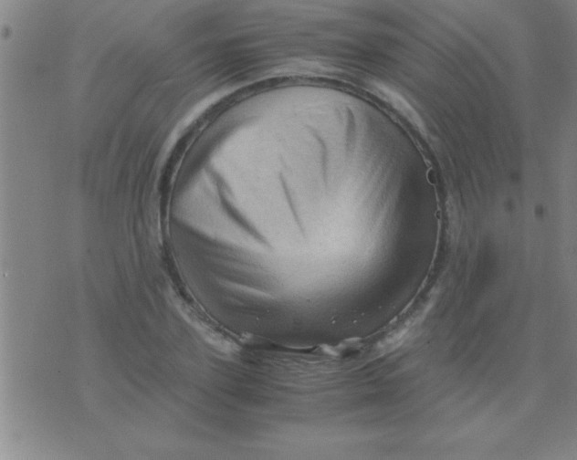 X0000075820931200610061753