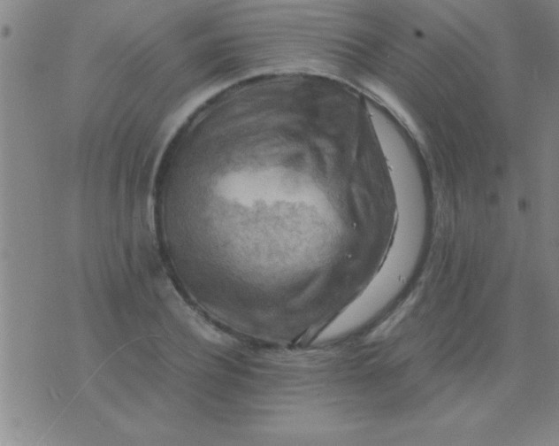 X0000075820932200610061753