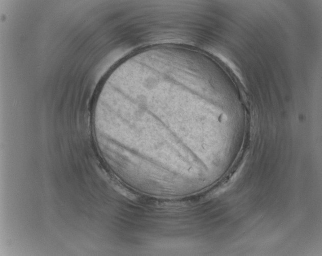 X0000075820933200610061753