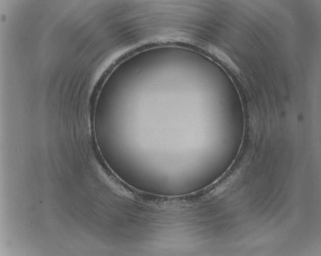 X0000075820934200610061753