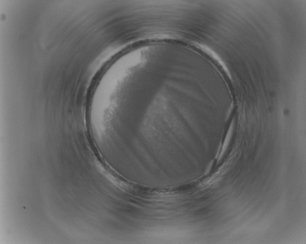 X0000075820935200610061753