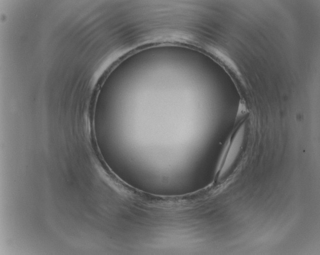 X0000075820936200610061753