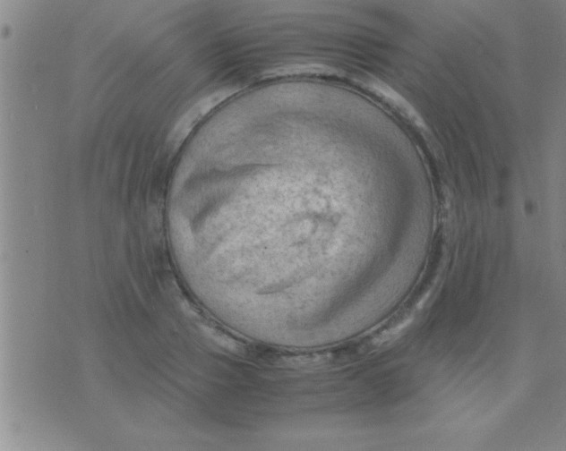 X0000075820937200610061753