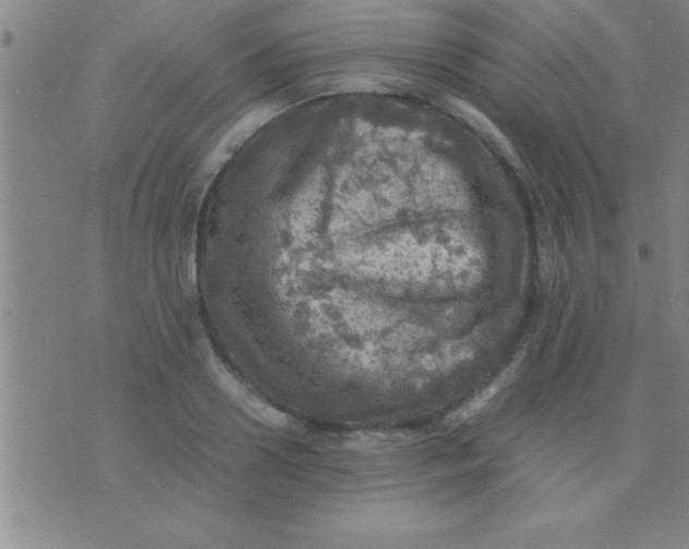 X0000075820938200610061753