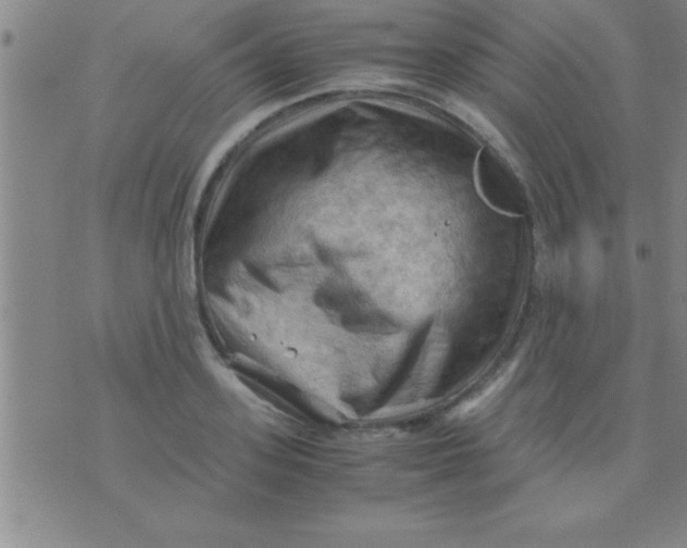 X0000075820939200610061753