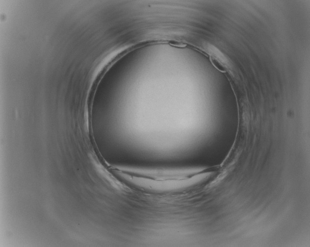 X0000075820940200610061753