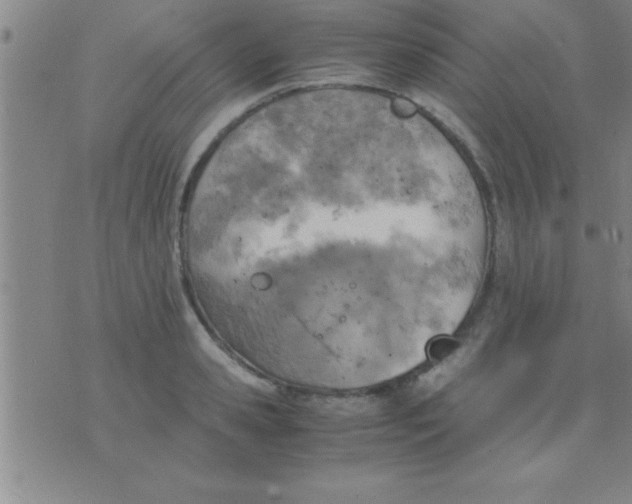 X0000075820941200610061753