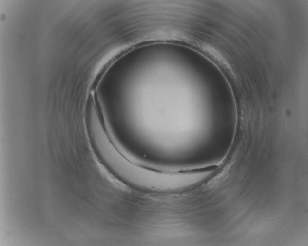 X0000075820942200610061753