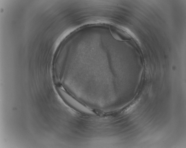 X0000075820943200610061753