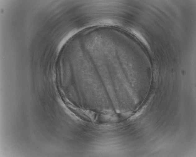 X0000075820944200610061753