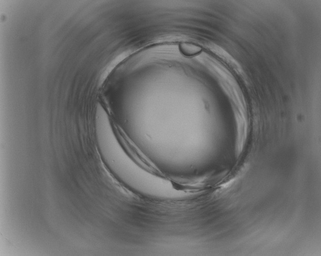 X0000075820945200610061753