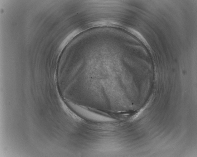 X0000075820946200610061753