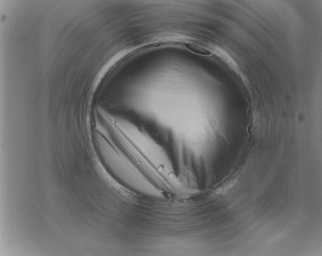 X0000075820947200610061753