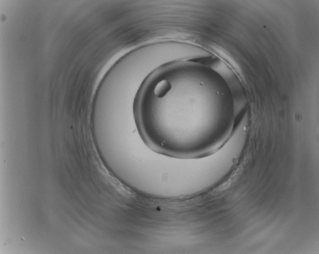 X0000075820948200610061753