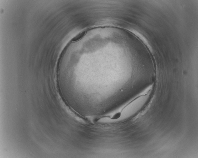 X0000075820949200610061753