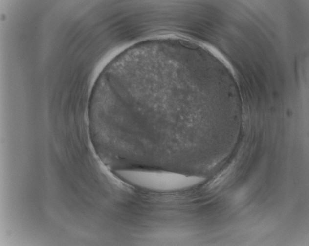 X0000075820951200610061753