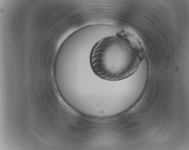 X0000075820952200610061753