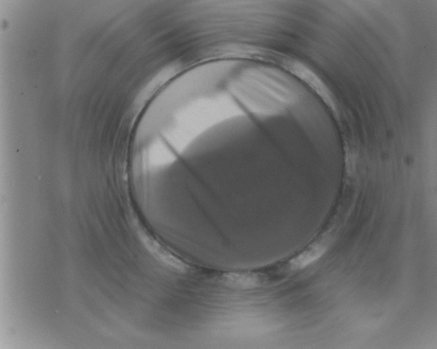 X0000075820954200610061753