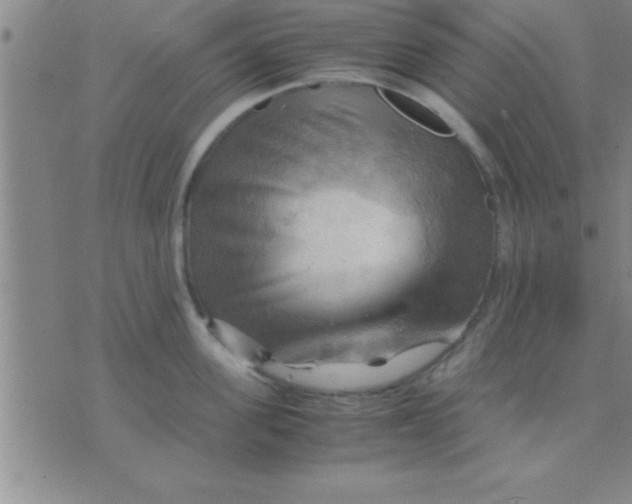 X0000075820955200610061753