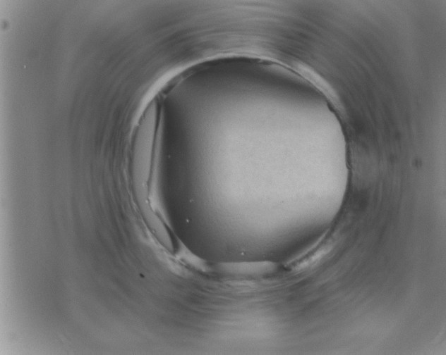 X0000075820956200610061753