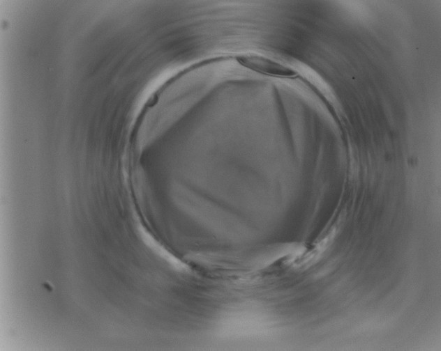 X0000075820958200610061753