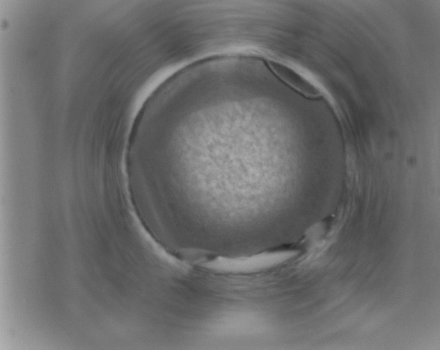 X0000075820959200610061753