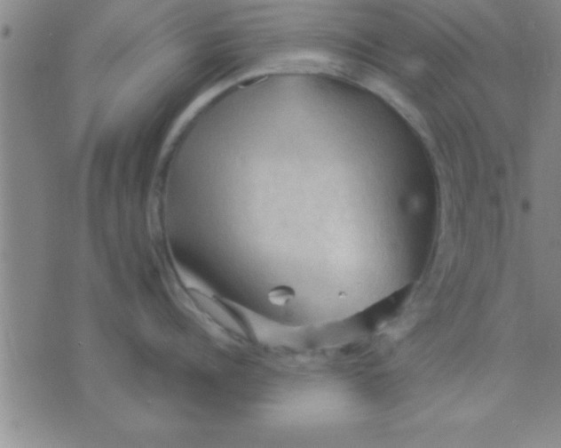 X0000075820960200610061753