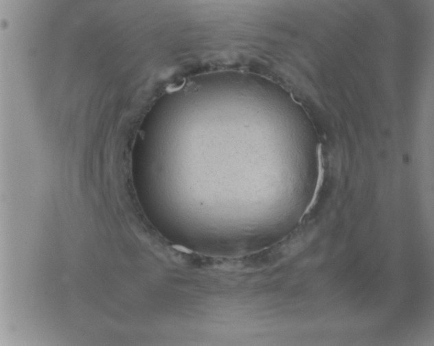 X0000075820961200610061753