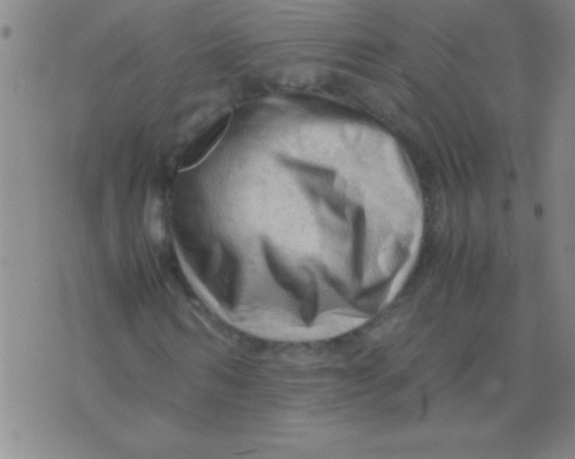 X0000075820962200610061753