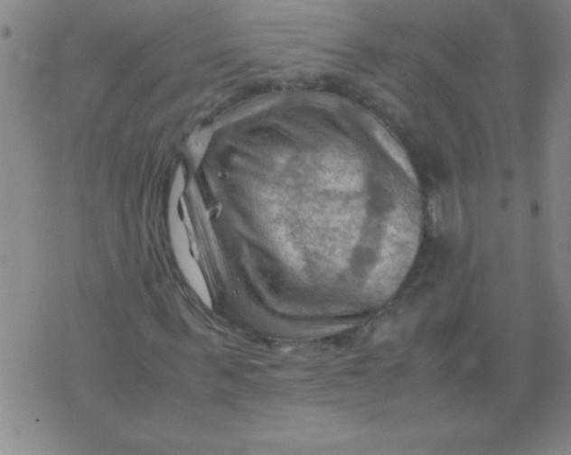 X0000075820963200610061753