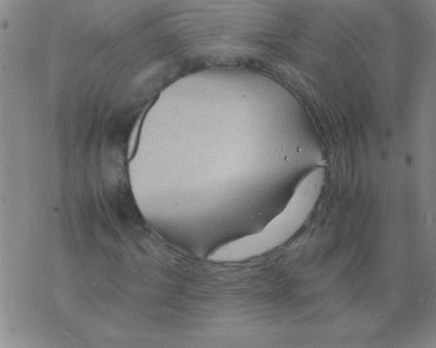 X0000075820964200610061753